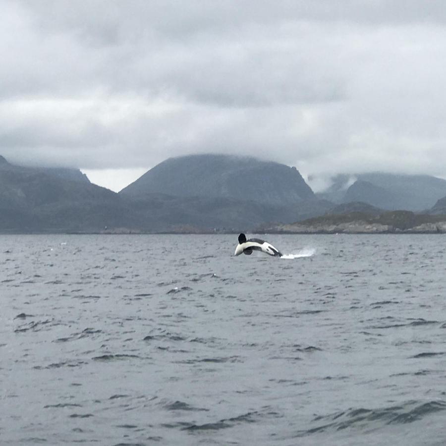 Fishermans Rorbu 2 - Lofoten Ramberg Eksteriør billede